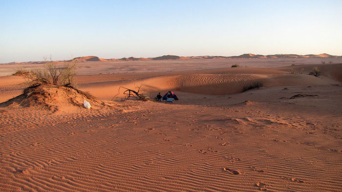 Oman désert de Gharbaniyyat 156